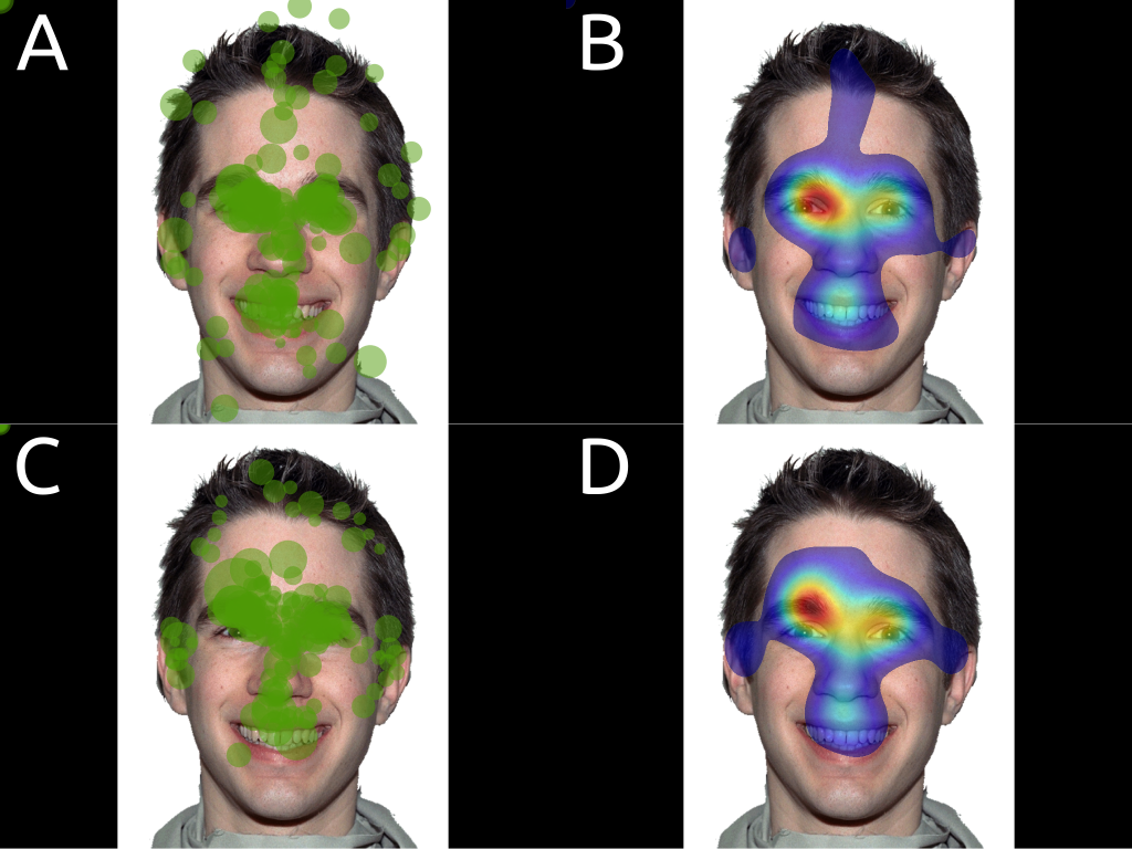 EYETRIBE AND EYELINK FIXATION VISUALISATIONS